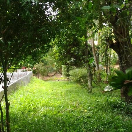 Philip Mary Farm Stay Thekkady Luaran gambar