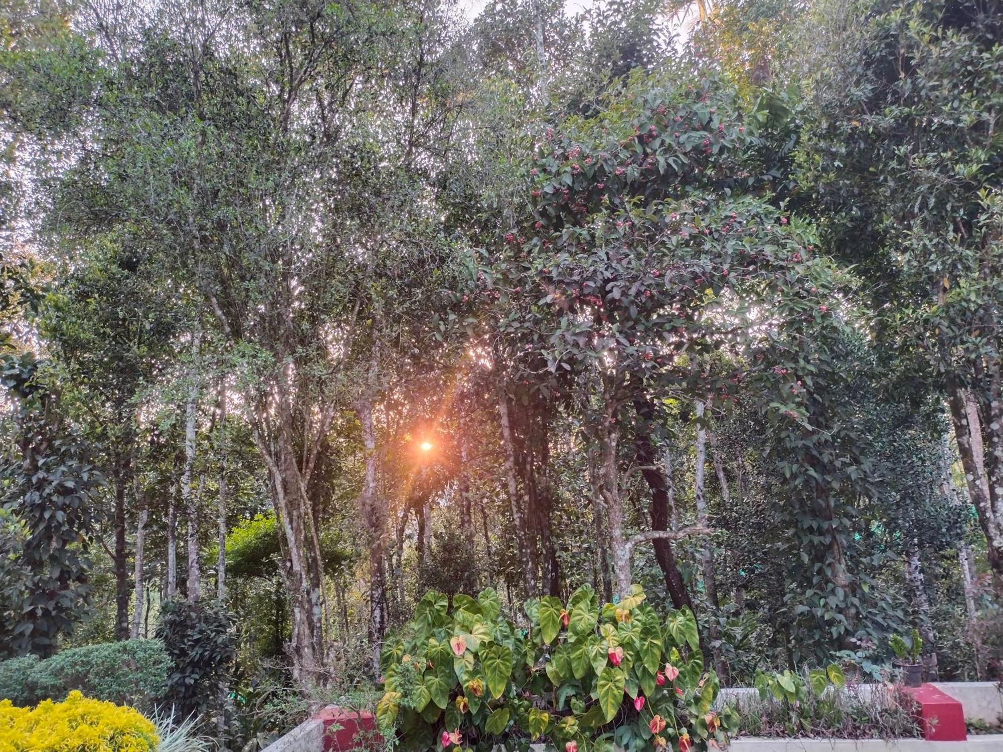 Philip Mary Farm Stay Thekkady Luaran gambar