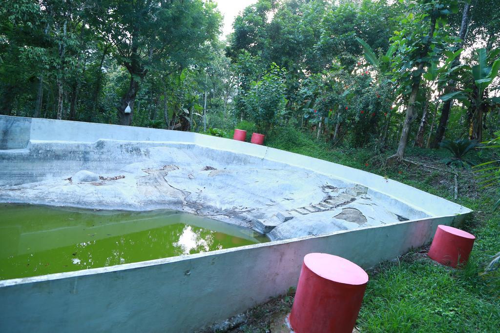 Philip Mary Farm Stay Thekkady Luaran gambar
