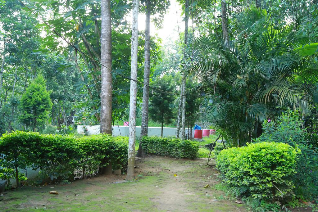 Philip Mary Farm Stay Thekkady Luaran gambar