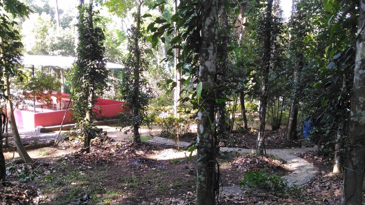 Philip Mary Farm Stay Thekkady Luaran gambar