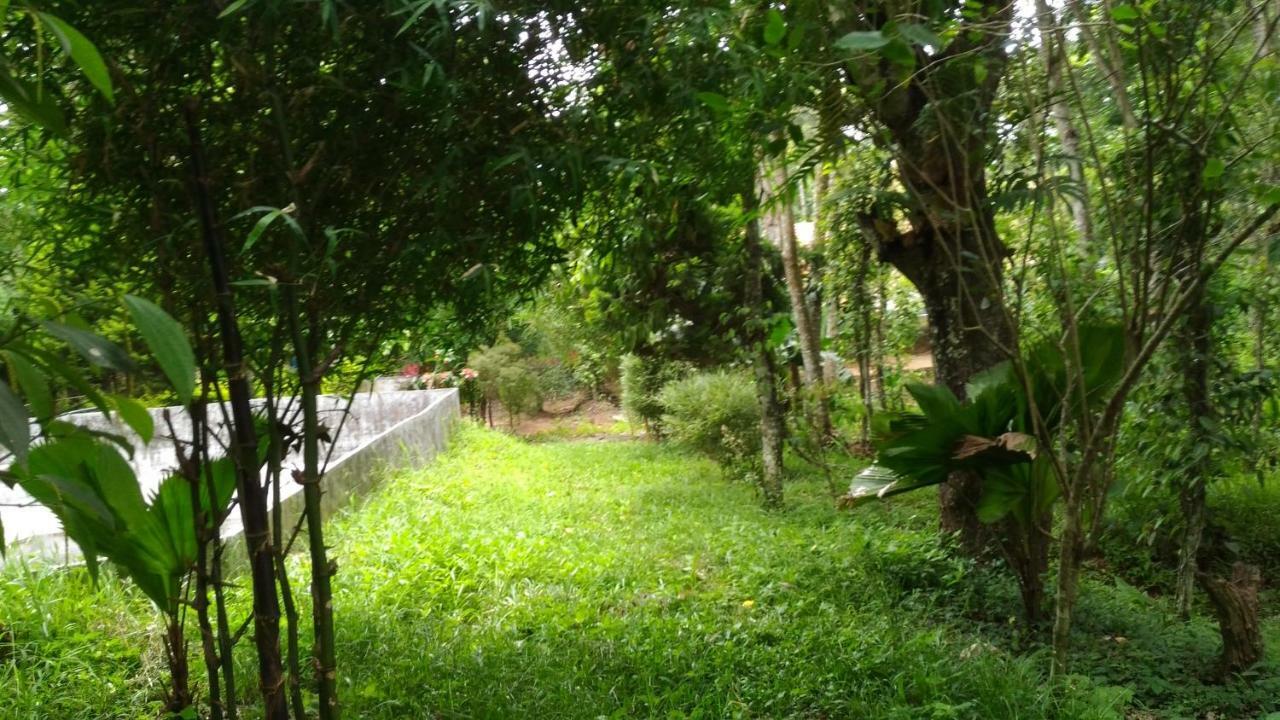 Philip Mary Farm Stay Thekkady Luaran gambar