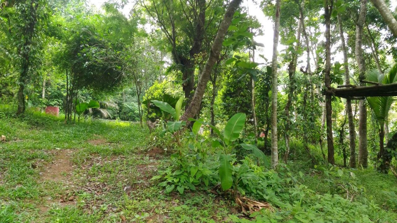 Philip Mary Farm Stay Thekkady Luaran gambar