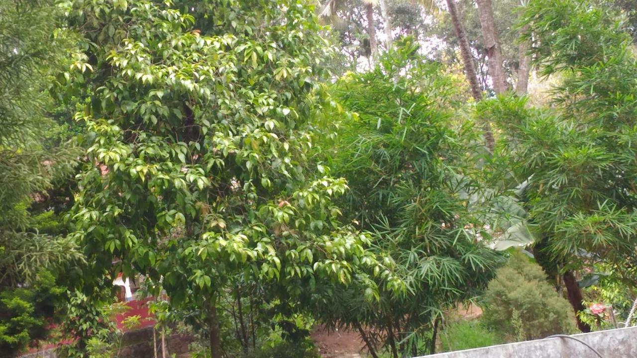 Philip Mary Farm Stay Thekkady Luaran gambar