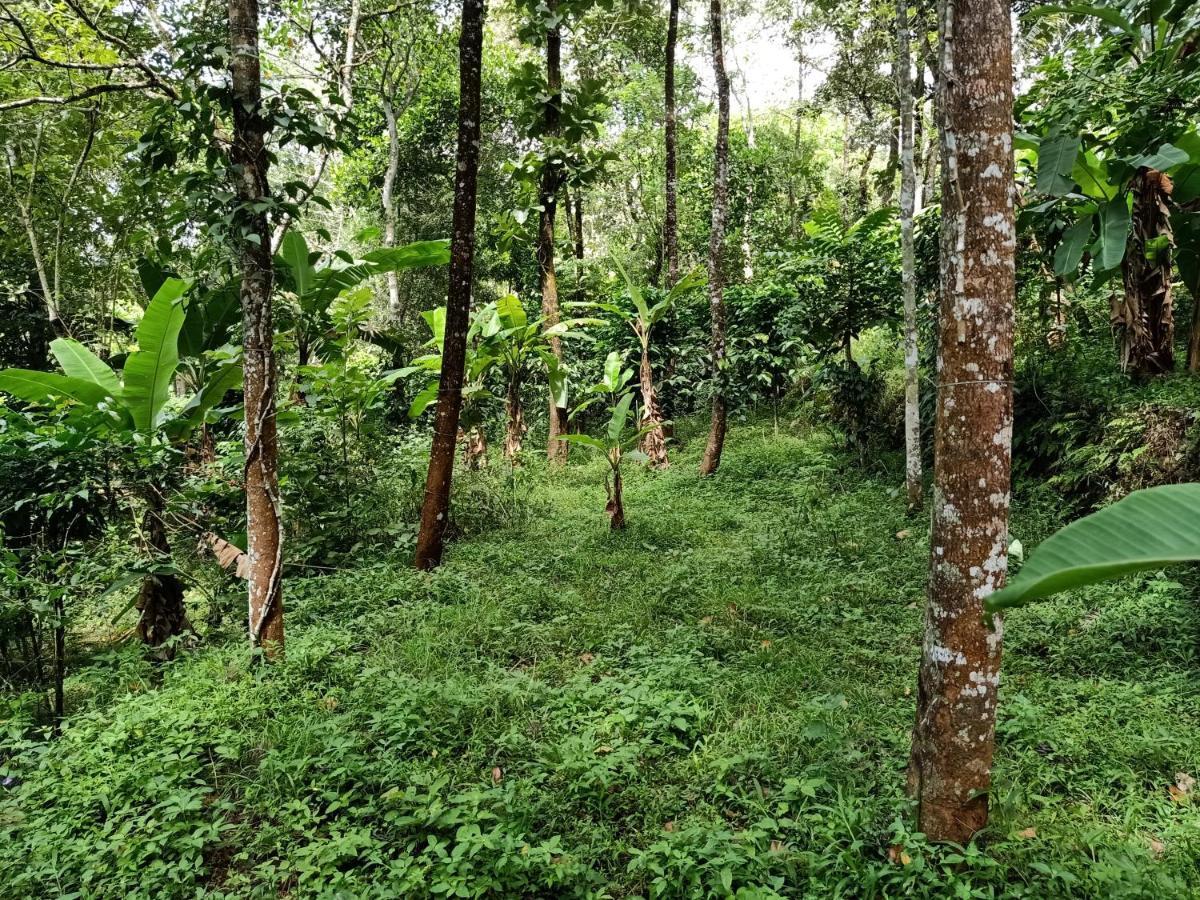 Philip Mary Farm Stay Thekkady Luaran gambar